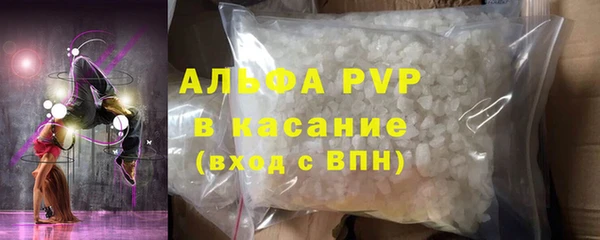 СК Бронницы