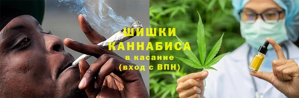 apvp Бородино