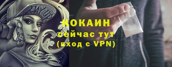 apvp Бородино