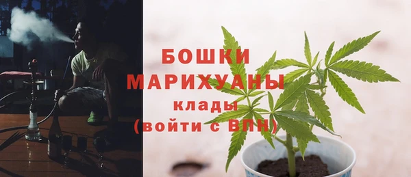 СК Бронницы