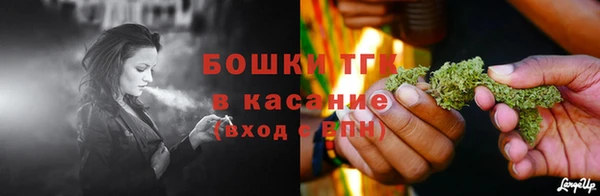apvp Бородино
