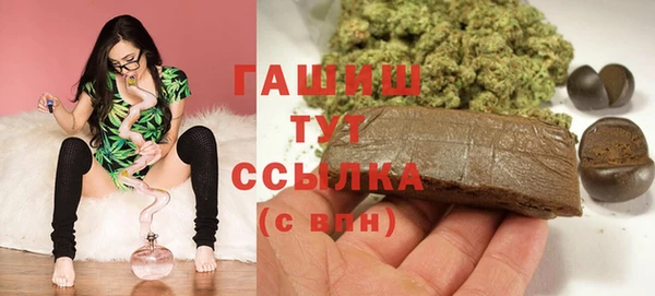 apvp Бородино