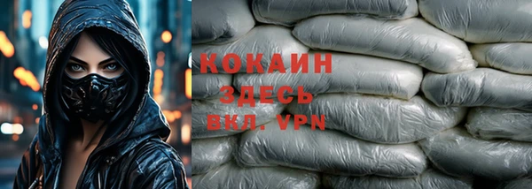 apvp Бородино