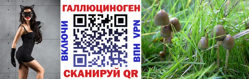 Галлюциногенные грибы мухоморы  Туран 